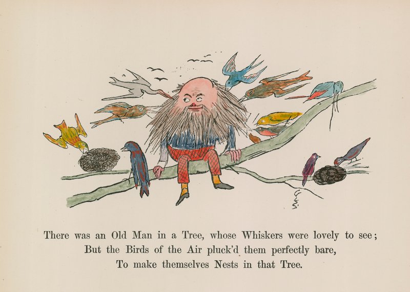 Na drzewie siedział starzec, którego wąsy były piękne (kolorowy grawerunek) autorstwa Edward (after) Lear