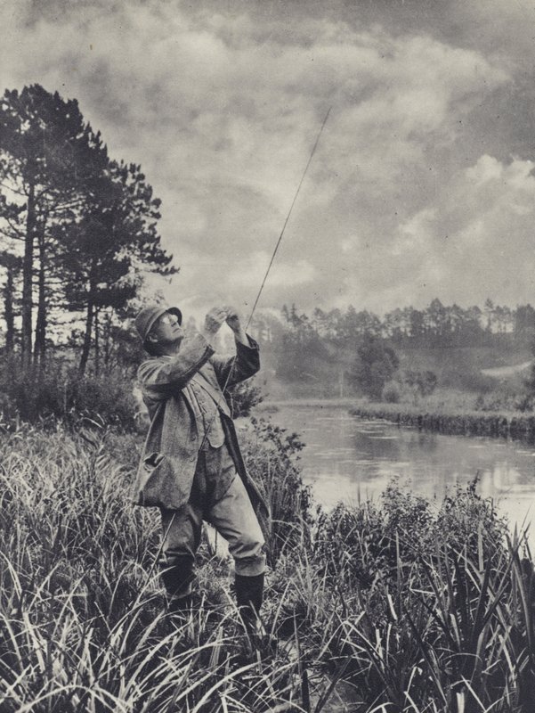 Punkt węzłowy (zdjęcie czarno-białe) autorstwa Edward Alfred Barton