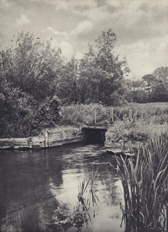 Mały przewoźnik na Ramsbury Water (zdjęcie czarno-białe) autorstwa Edward Alfred Barton
