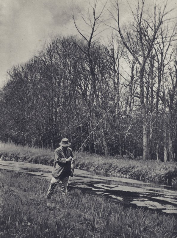 Wczesna wiosna na rzece Kennet (zdjęcie czarno-białe) autorstwa Edward Alfred Barton