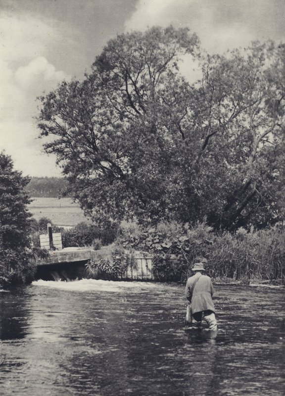 Na rzece Itchen poniżej Winchester (zdjęcie czarno-białe) autorstwa Edward Alfred Barton