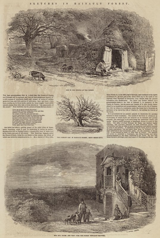 Szkice w lesie Hainault autorstwa Edward Duncan