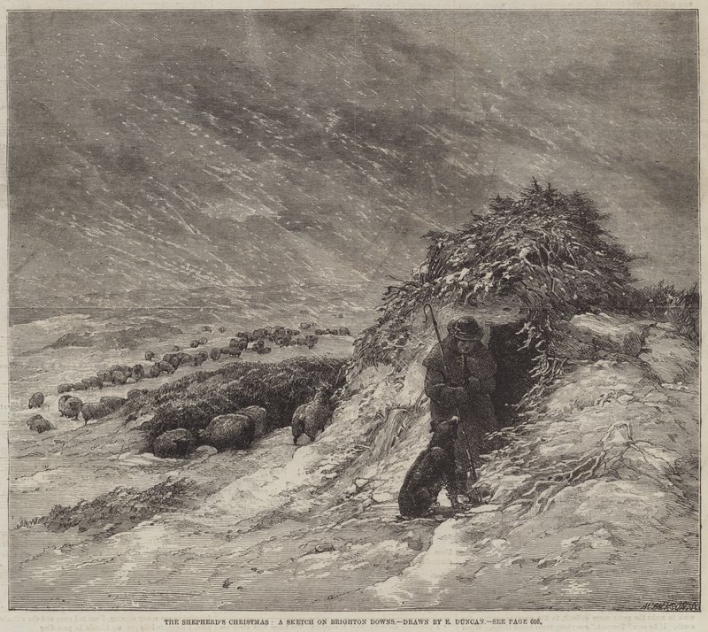 Boże Narodzenie Pasterza, szkic o Brighton Downs autorstwa Edward Duncan
