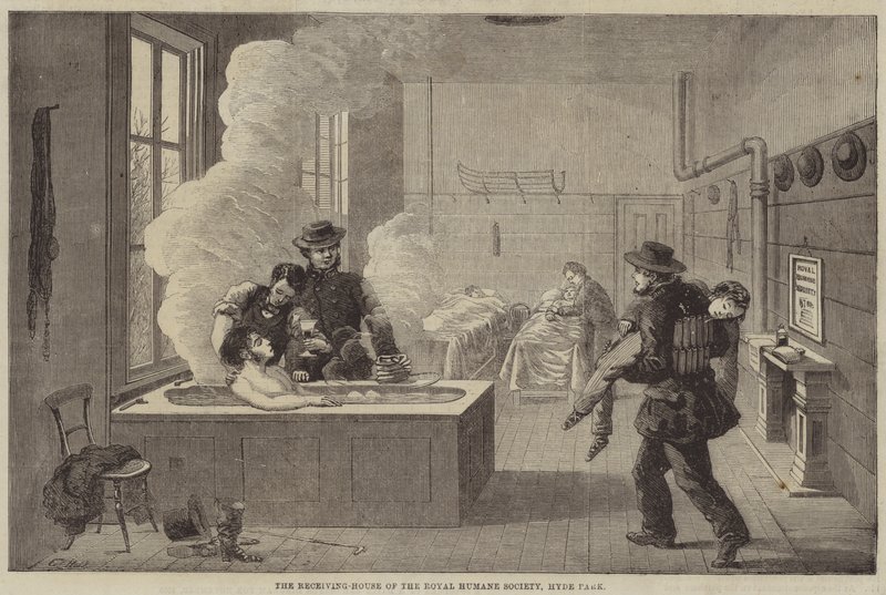 Dom Przyjęć Królewskiego Towarzystwa Humanitarnego, Hyde Park autorstwa Edward Hull