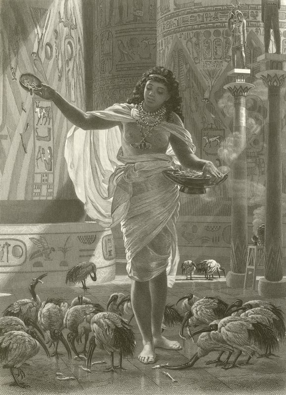 Karmienie świętego ibisa w salach Karnac autorstwa Edward John Poynter