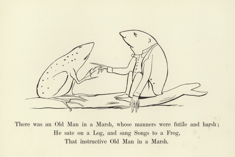 Był sobie pewien Stary Człowiek w Bagnie, którego maniery były daremne i surowe autorstwa Edward Lear