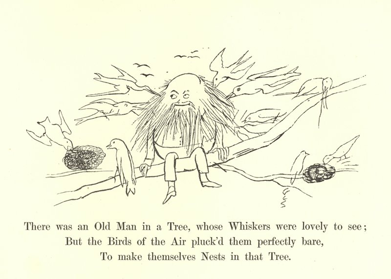 Był tam Stary Człowiek na Drzewie, którego Wąsy były piękne do zobaczenia autorstwa Edward Lear