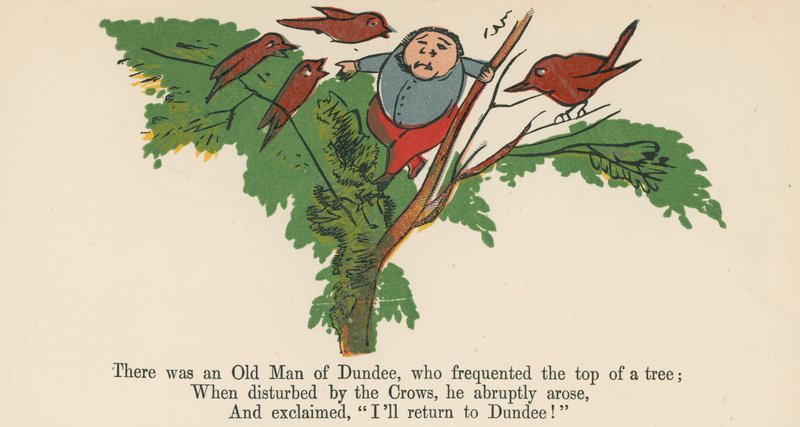 Był tam stary człowiek z Dundee, który odwiedzał czubek drzewa z „Księgi bzdur”, wydanej przez Frederick Warne and Co., Londyn, ok. 1875 r. autorstwa Edward Lear