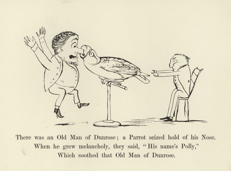 Był tam Stary Człowiek z Dunrose; papuga chwyciła go za nos autorstwa Edward Lear