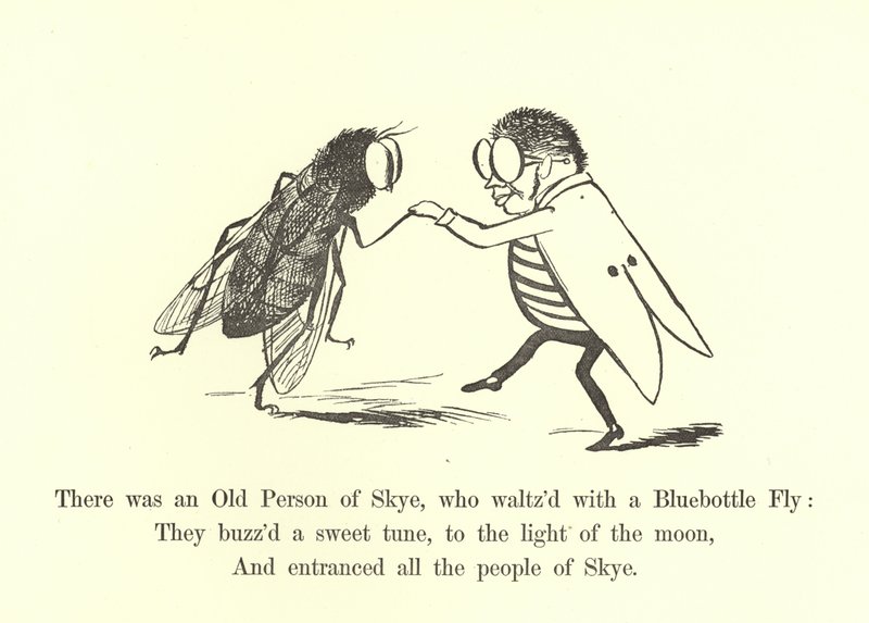 Był tam stary człowiek ze Skye, który tańczył walca z muchą bławatek autorstwa Edward Lear
