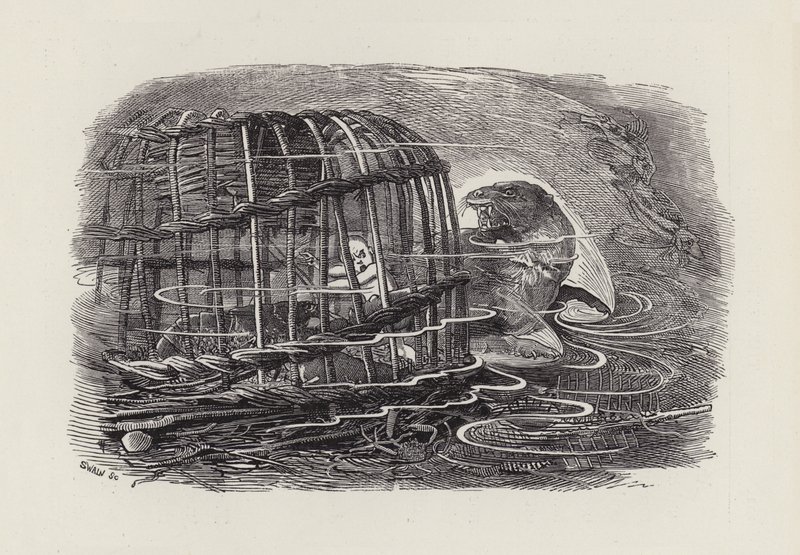 Ilustracja do The Water-Babies autorstwa Charlesa Kingsleya (grafika) autorstwa Edward Linley (after) Sambourne