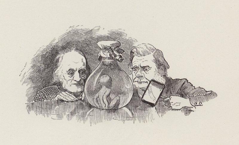 Ilustracja do The Water-Babies autorstwa Charlesa Kingsleya (grafika) autorstwa Edward Linley (after) Sambourne