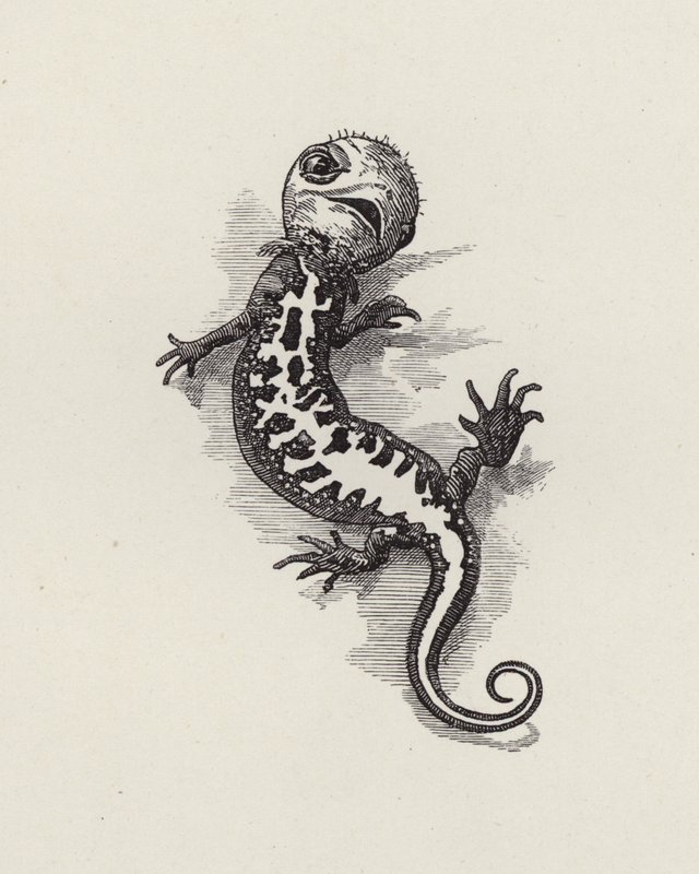 Ilustracja do The Water-Babies autorstwa Charlesa Kingsleya (grafika) autorstwa Edward Linley (after) Sambourne