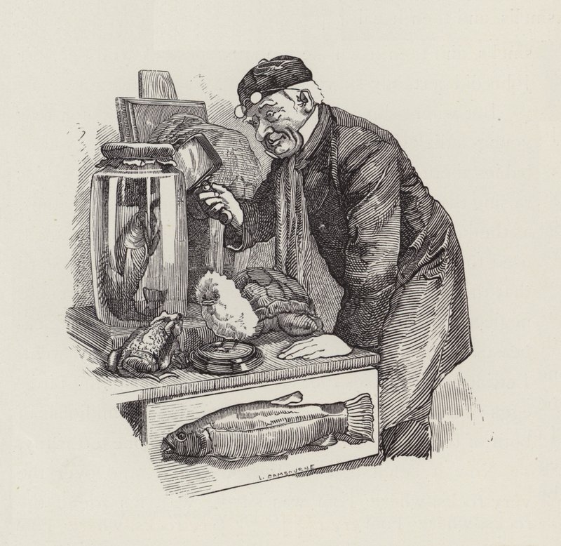 Ilustracja do The Water-Babies autorstwa Charlesa Kingsleya (grafika) autorstwa Edward Linley (after) Sambourne