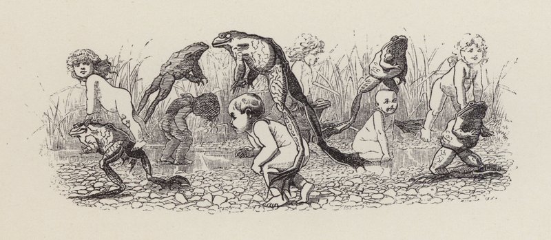 Ilustracja do The Water-Babies autorstwa Charlesa Kingsleya (grafika) autorstwa Edward Linley (after) Sambourne