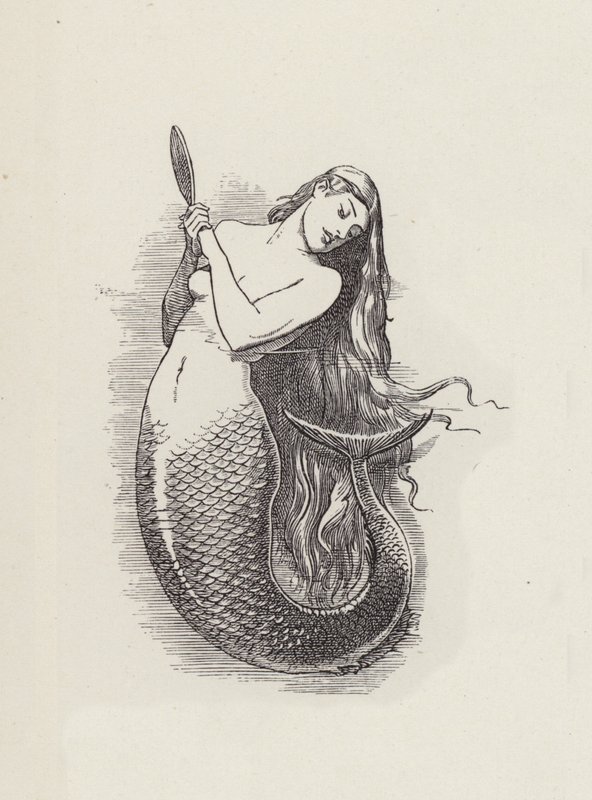 Ilustracja do The Water-Babies autorstwa Charlesa Kingsleya (grafika) autorstwa Edward Linley (after) Sambourne