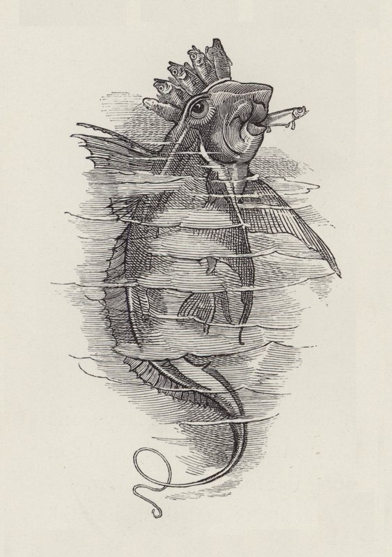 Ilustracja do The Water-Babies autorstwa Charlesa Kingsleya (grafika) autorstwa Edward Linley (after) Sambourne