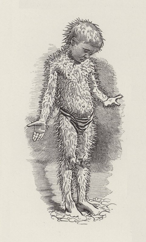 Ilustracja do The Water-Babies autorstwa Charlesa Kingsleya (grafika) autorstwa Edward Linley (after) Sambourne
