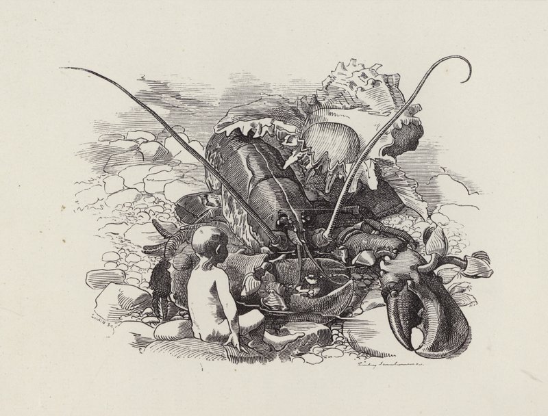 Ilustracja do The Water-Babies autorstwa Charlesa Kingsleya (grafika) autorstwa Edward Linley (after) Sambourne