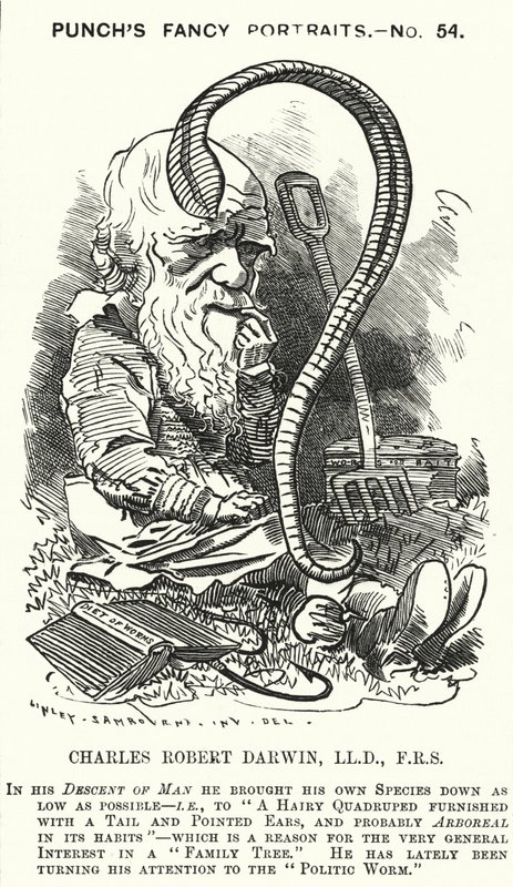 Karykatura dziurkacza: Charles Darwin, angielski przyrodnik i biolog (grafika) autorstwa Edward Linley (after) Sambourne