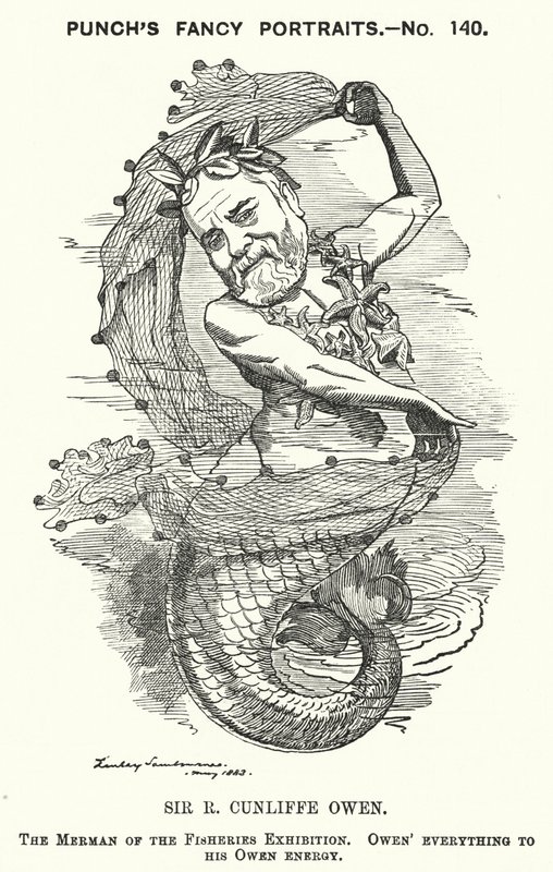 Punch cartoon: Philip Cunliffe-Owen, brytyjski organizator wystaw i dyrektor South Kensington Museum w Londynie (grafika) autorstwa Edward Linley (after) Sambourne