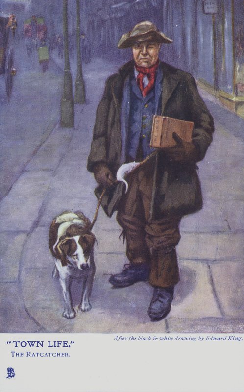 Łapacz szczurów z psem autorstwa Edward R. King