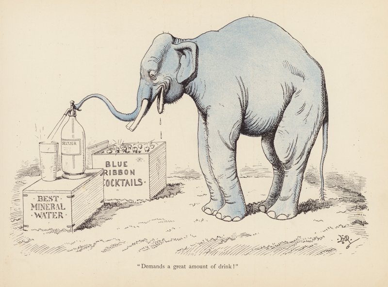 Tails with a Twist: The Elephant (kolor lito) autorstwa Edward Tennyson Reed