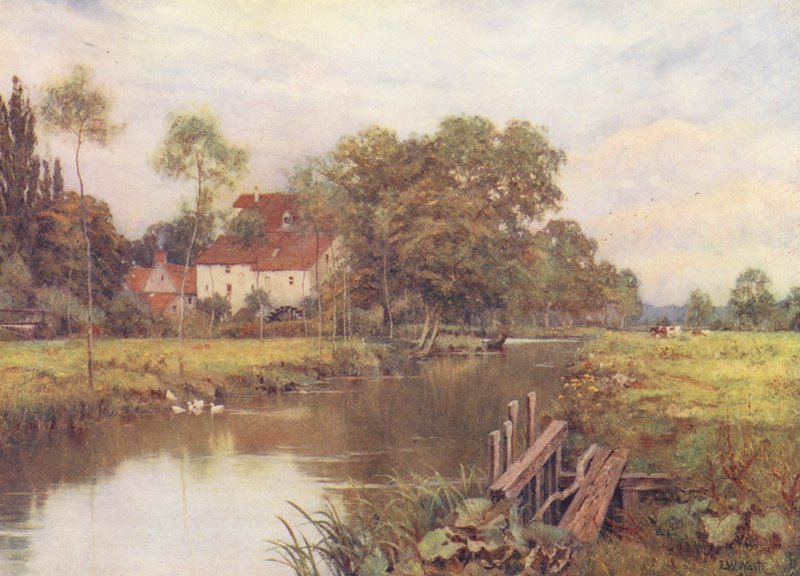 W dół kwiecistej łąki (kolorowa litografia) autorstwa Edward Wilkins Waite