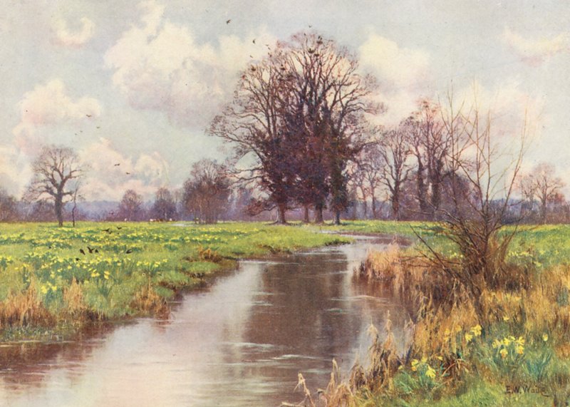 Ta wesoła rzeczka jest wolna od obciążeń i ani jaz, ani młyn nie zagradzają jej szybkiej drogi do morza (kolorowa litografia). autorstwa Edward Wilkins Waite