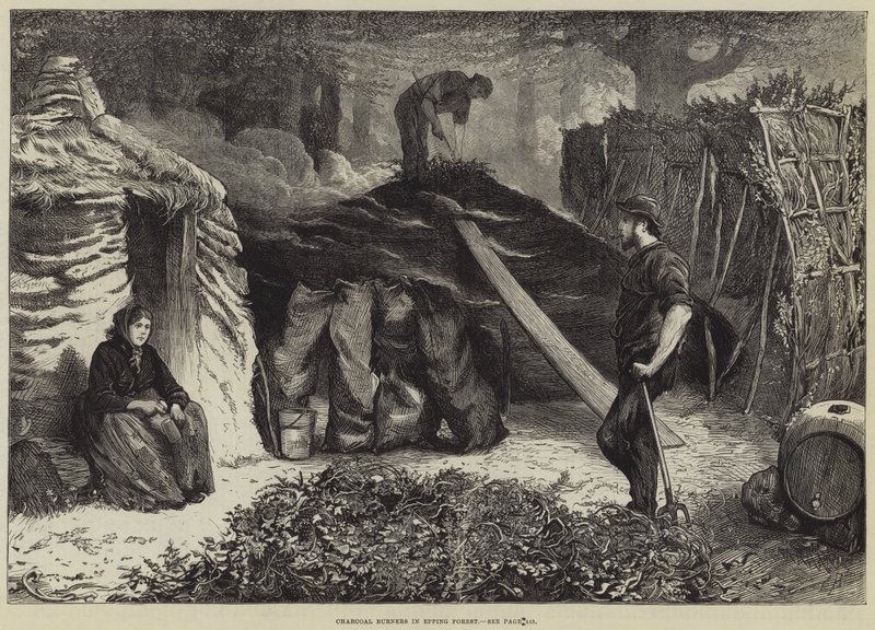 Palniki na węgiel drzewny w Epping Forest autorstwa Edwin Buckman