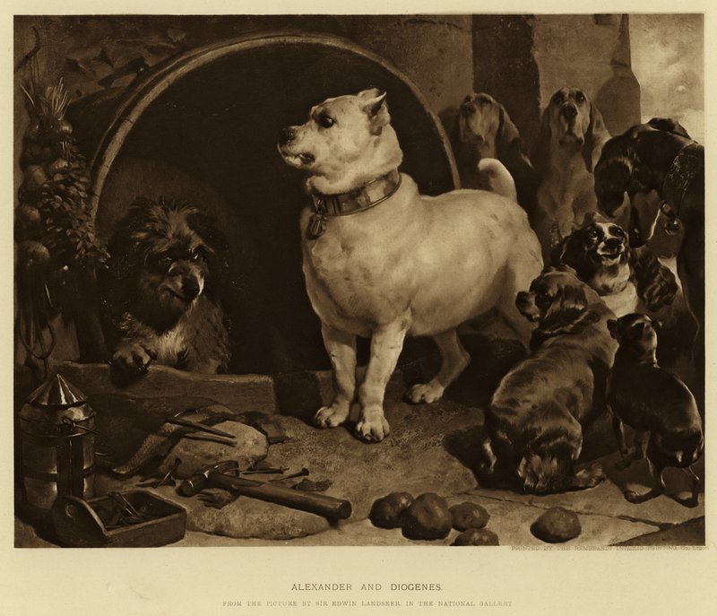 Aleksander i Diogenes autorstwa Edwin Landseer