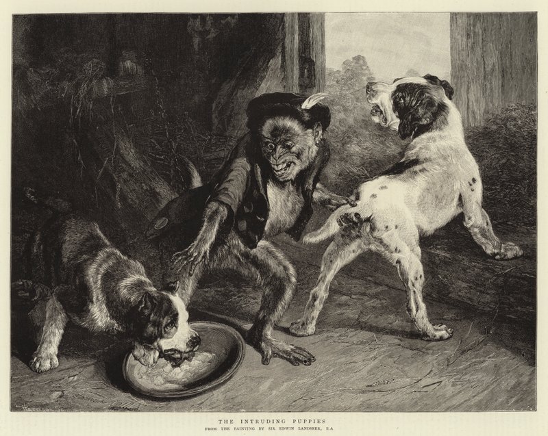 Intruzywne szczenięta autorstwa Edwin Landseer