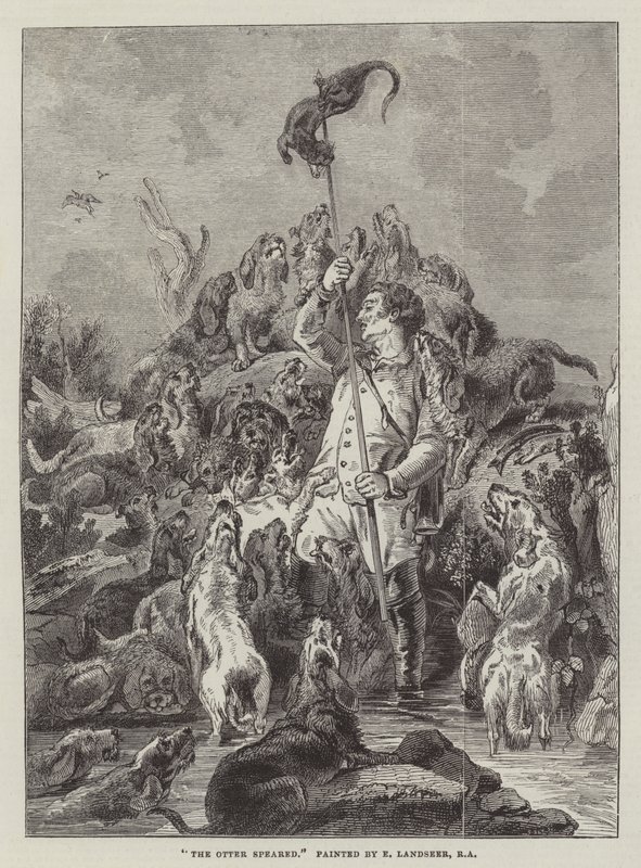 Wydra włóczni autorstwa Edwin Landseer