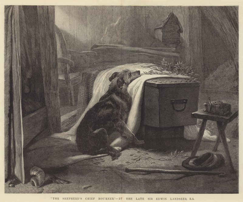 Główny żałobnik pasterza autorstwa Edwin Landseer