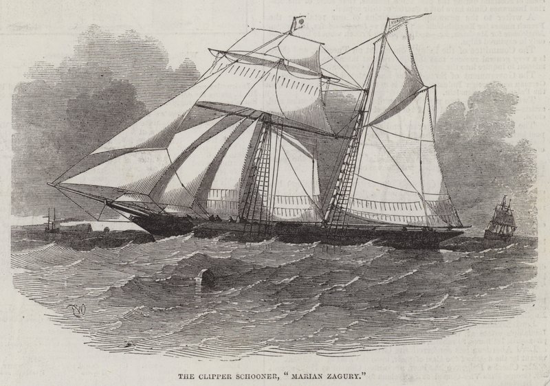 Szkuner Clipper, Marin Zagury autorstwa Edwin Weedon