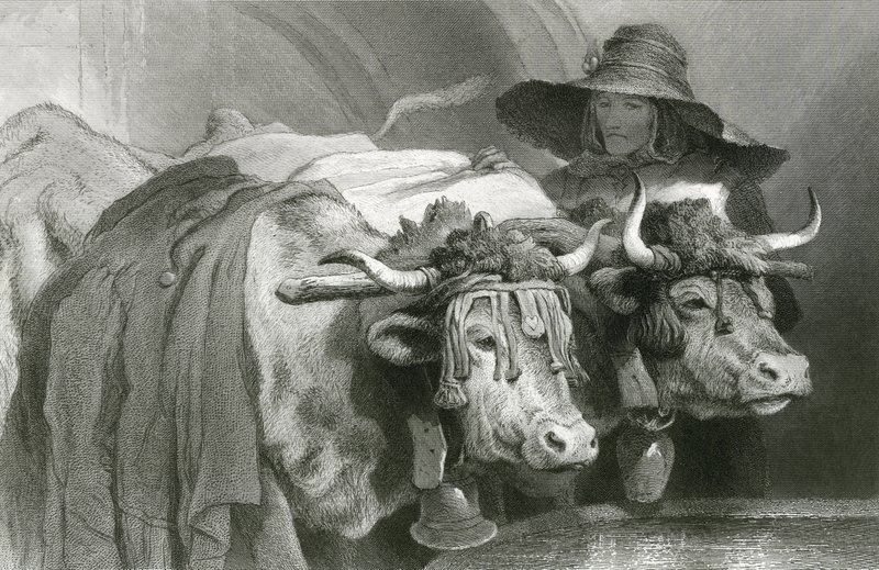 Woły przy czołgu, Genewa (rycina) autorstwa Edwin (after) Landseer