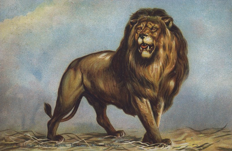 Studium lwa na Trafalgar Square autorstwa Landseer, National Gallery, Londyn (kolor lito) autorstwa Edwin (after) Landseer