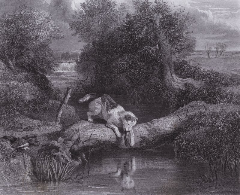 Pies i cień (grawerunek) autorstwa Edwin (after) Landseer