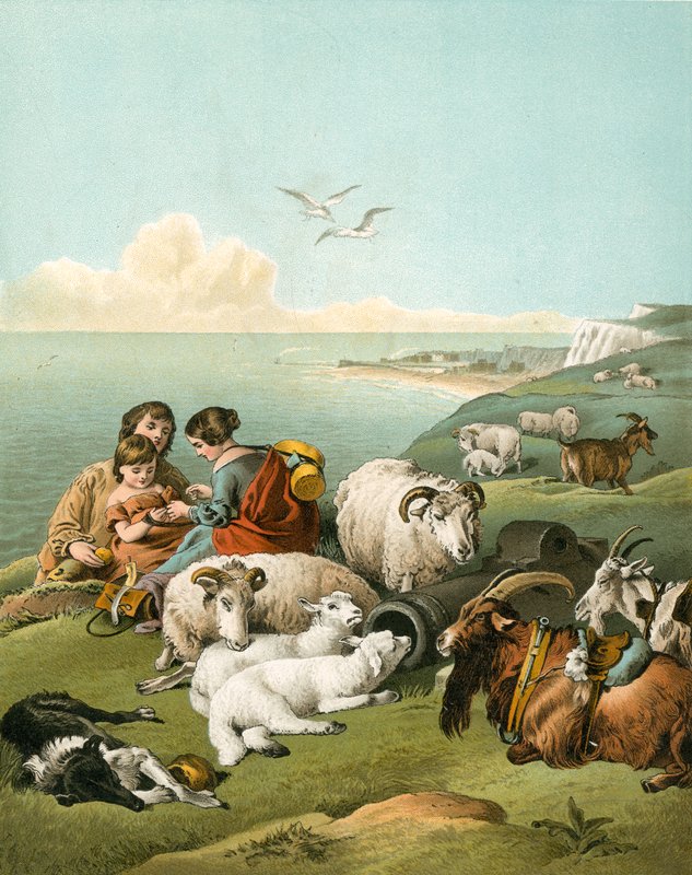 Dzieci bawiące się z owcami i kozami na białych klifach autorstwa Edwin Landseer