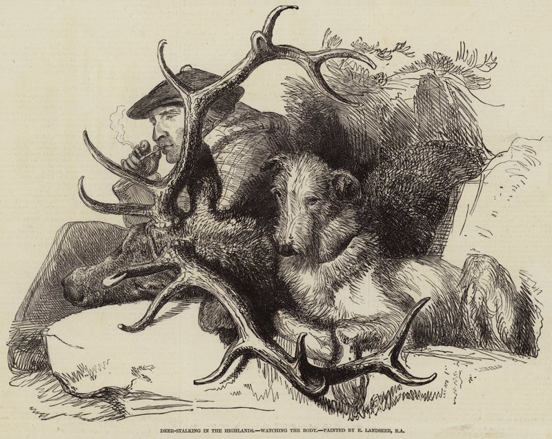 Polowanie na jelenie w górach, obserwacja ciała autorstwa Edwin Landseer
