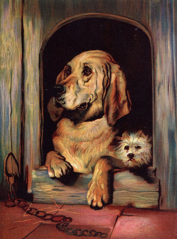 Godność i bezczelność autorstwa Edwin Landseer