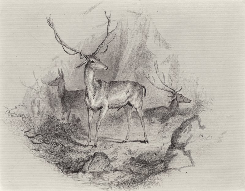 W Dolinie autorstwa Edwin Landseer