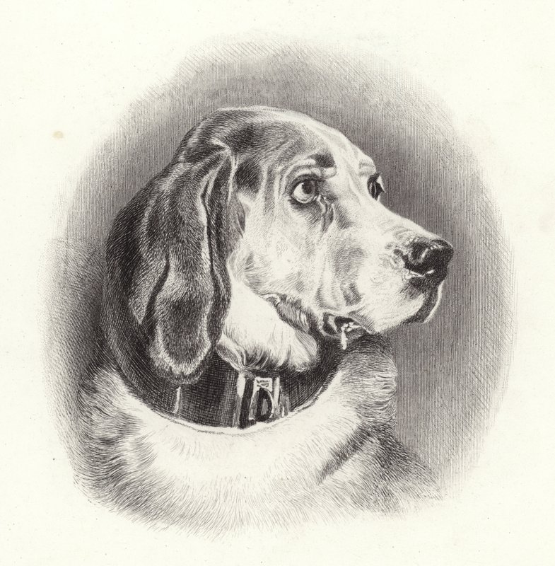 Ogar autorstwa Edwin Landseer