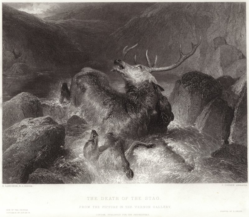 Śmierć Jelenia autorstwa Edwin Landseer