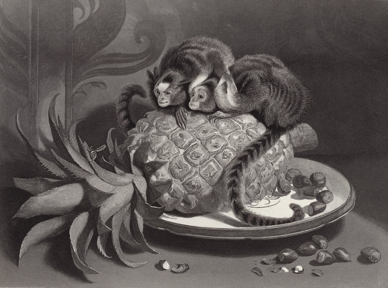 Marmozeci autorstwa Edwin Landseer
