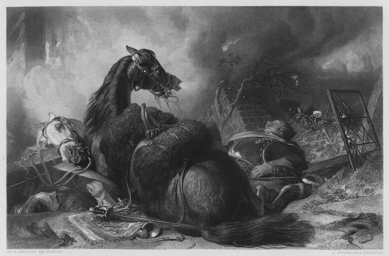 Wojna, ze zdjęcia w Galerii Vernon autorstwa Edwin Landseer