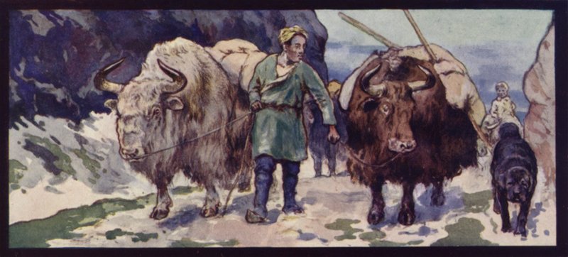 Tybetański pociąg jaków (członkowie kolorowi) autorstwa Edwin Noble