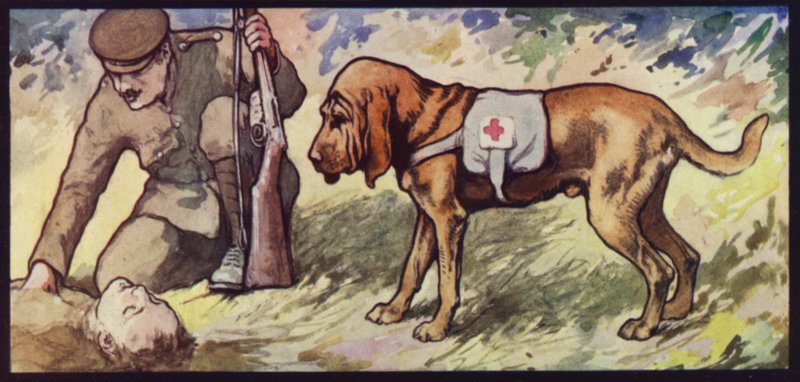 Pogotowie ratunkowe autorstwa Edwin Noble