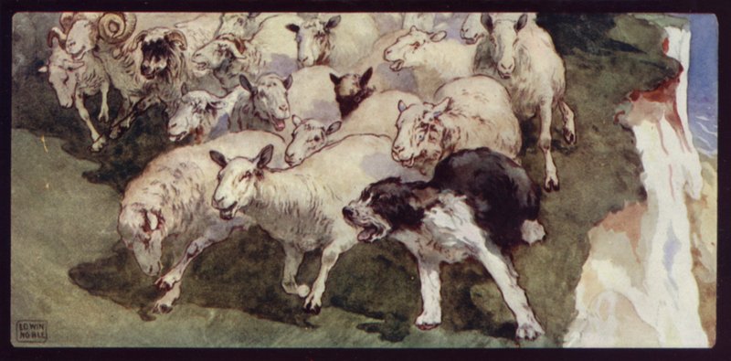 Owczarek Bobtailed i Flock on the Cliffs (kolor lito) autorstwa Edwin Noble