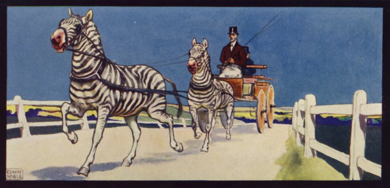 Zebry w jeździe, Tandem (kolor lito) autorstwa Edwin Noble